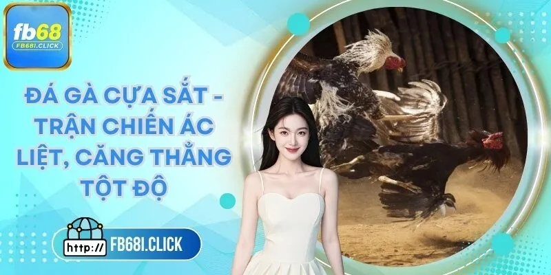 đá gà cựa sắt