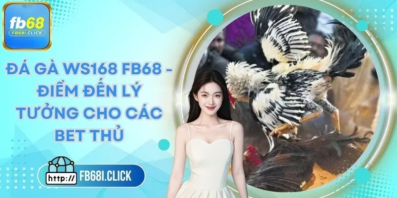 đá gà Ws168 FB68
