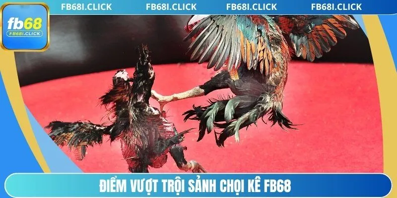 Điểm vượt trội sảnh chọi kê