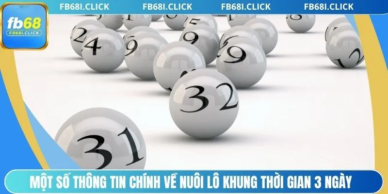 Một số thông tin chính về nuôi lô khung thời gian 3 ngày