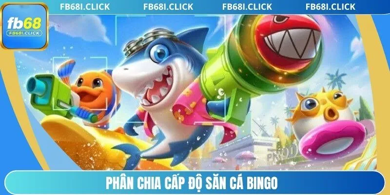 Phân chia cấp độ săn cá Bingo